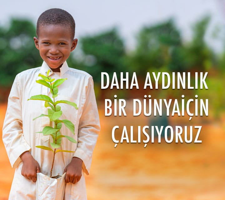 Afrika'da elinde fidan tutan bir çocuk